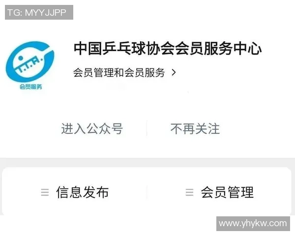 北京乒乓球队战术创新引领潮流最新乒乓球战术TOP10全面解析