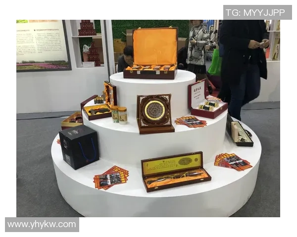 杭州排球队的转型升级之路：从传统到现代的全新探索与实践