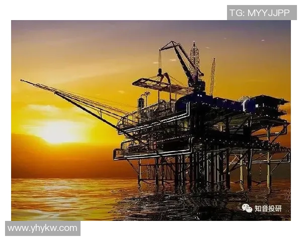 武汉羽毛球队技术实力飙升创新高引领全国羽坛新风潮