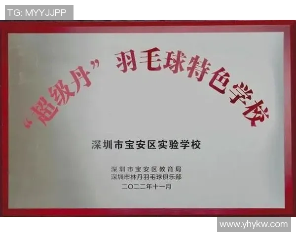 深圳羽毛球队心理素质排名第十揭示竞技体育中的心理因素重要性